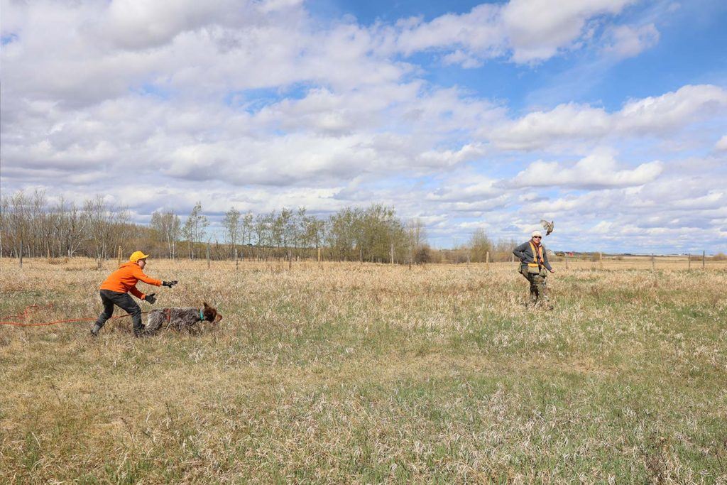 two people with a hunting dog in a large open field