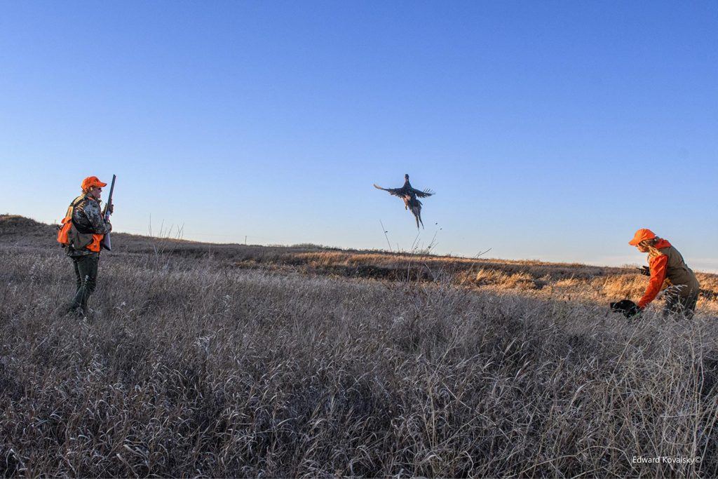 a duck flying into the air with two hunters standing on either end