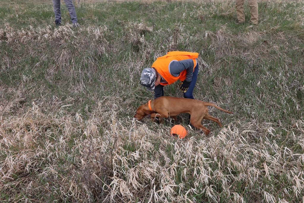 a man kneeling down next to a dog in a field