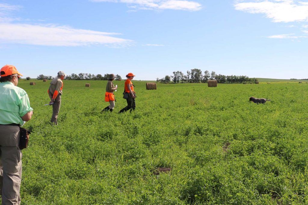 a group of people standing on top of a lush green field