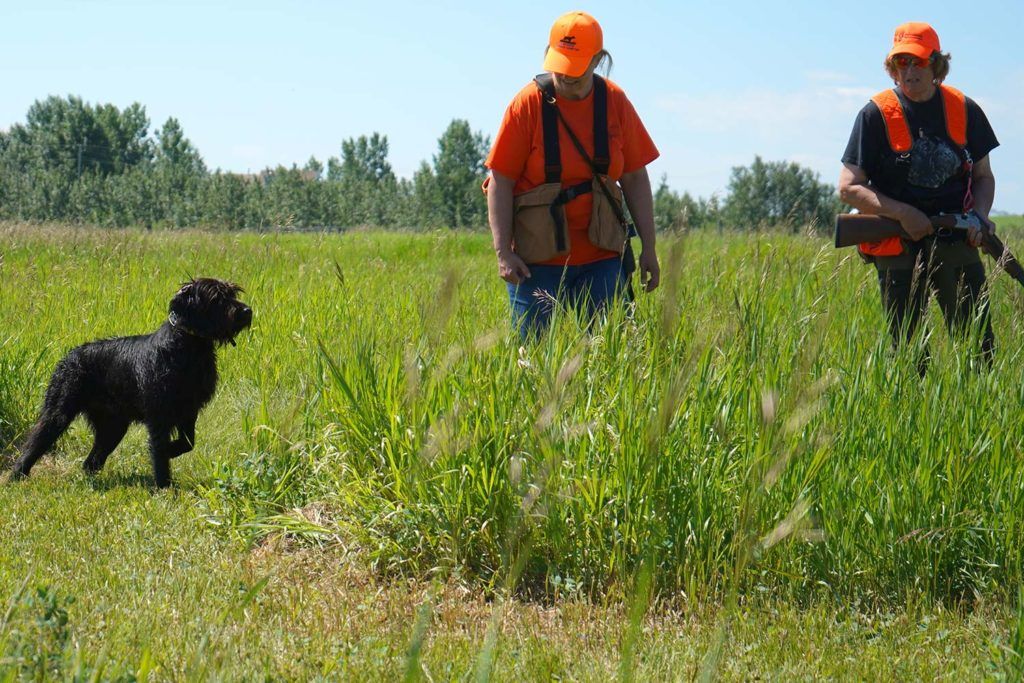 two men in orange vests with a black dog in a field