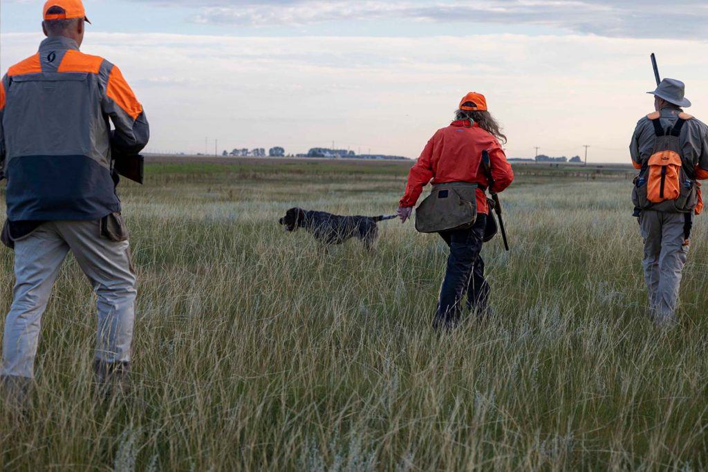 a group of people in a field with a dog