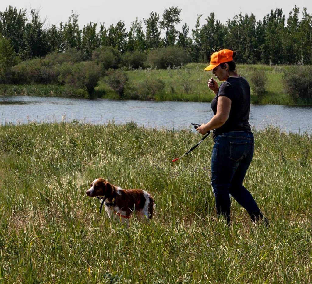 a woman standing in a field with a dog