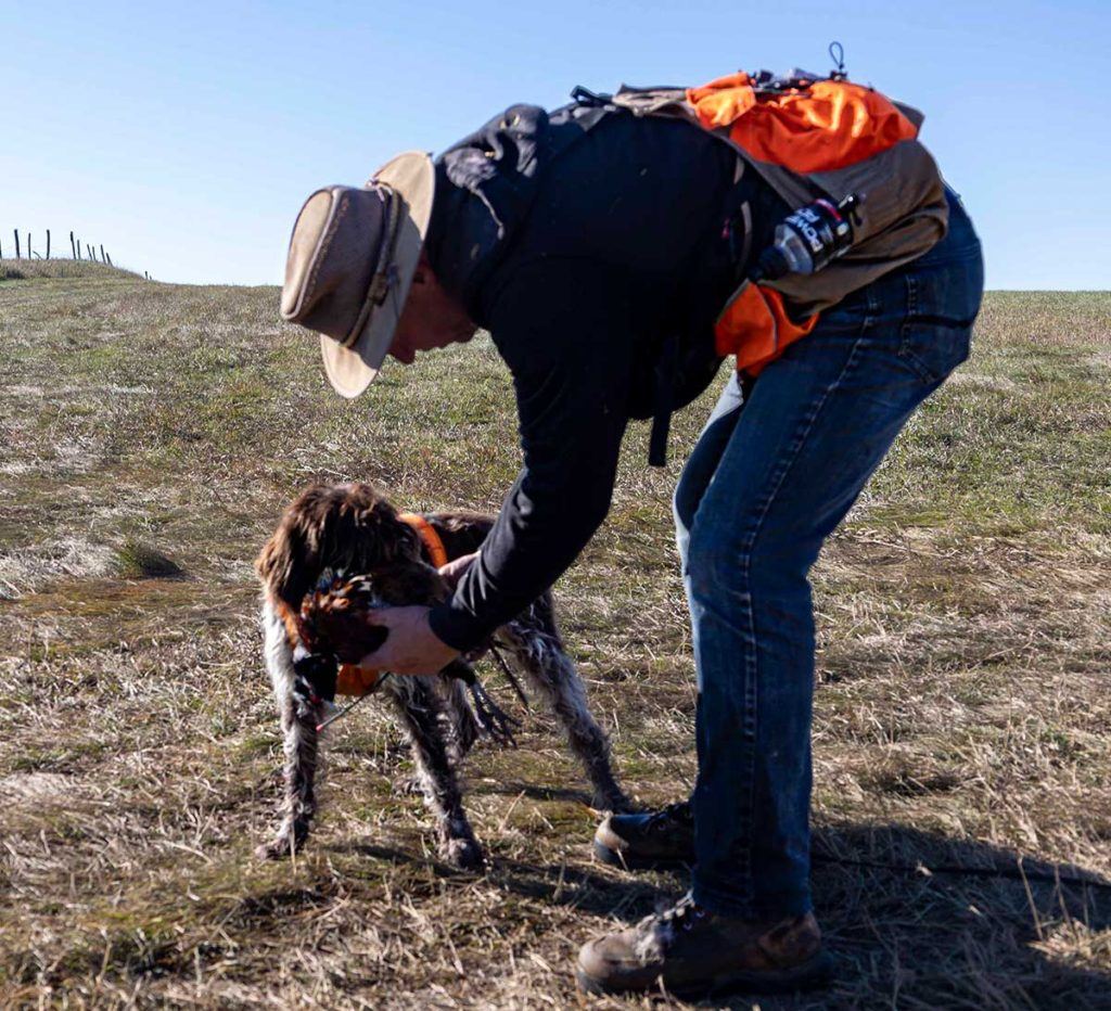 a man bending over to pet a dog in a field