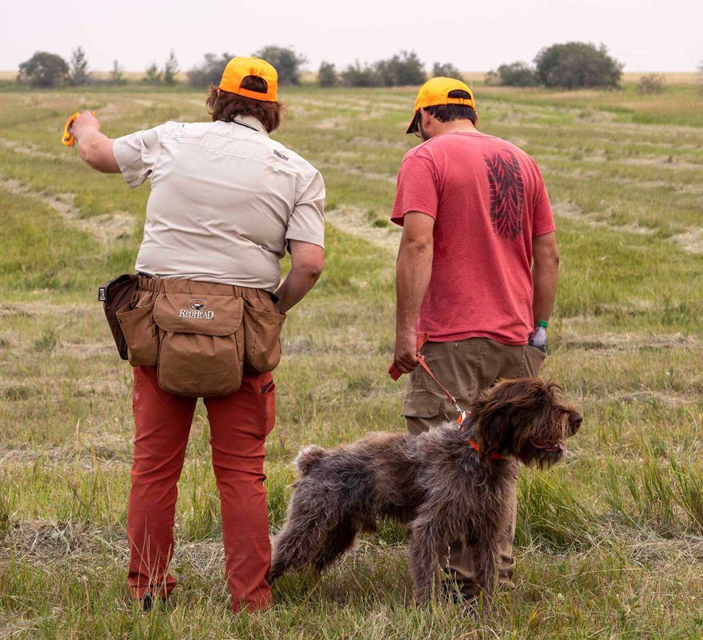 a couple of people that are standing in the grass with a dog