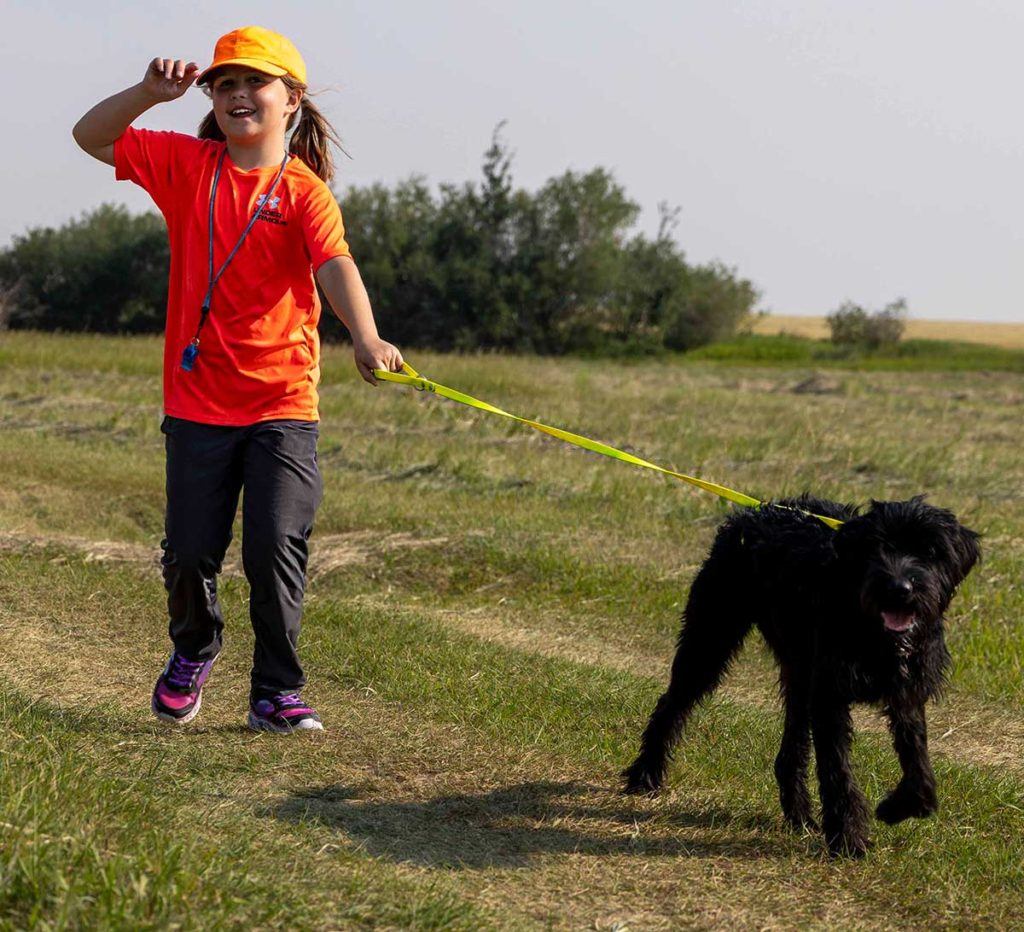 a young girl holding a black dog on a leash