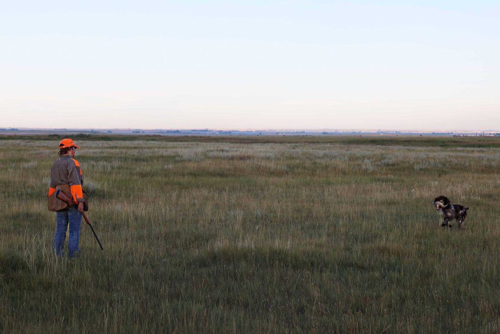 a person holding a gun and a dog in a large field