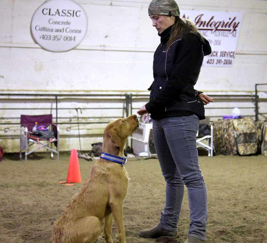 a woman standing next to a brown dog