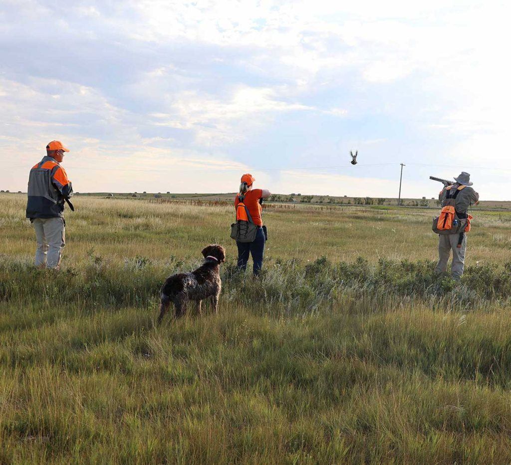 three people in a field with a hunting dog shooting down a duck