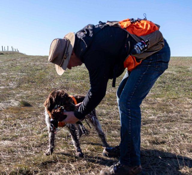 a man in hunting gear bending over pulling a duck out of a dogs mouth