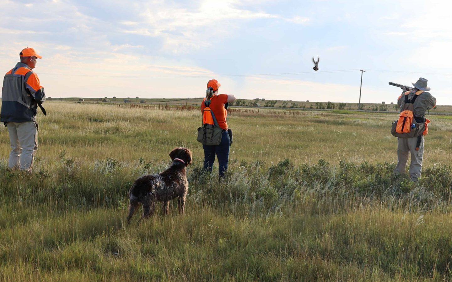 three people in a field with a hunting dog shooting down a duck