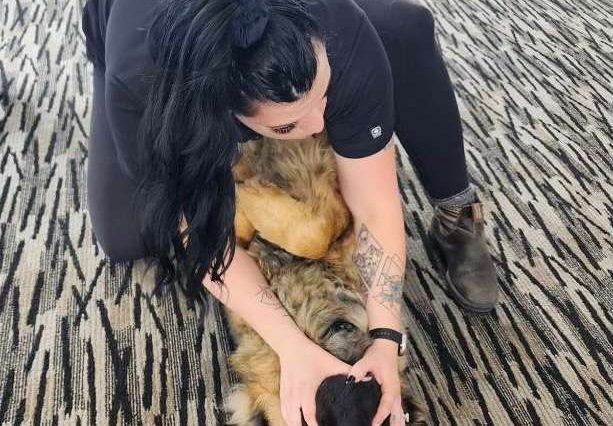 a woman kneeling down over a dog with her hands around its snout