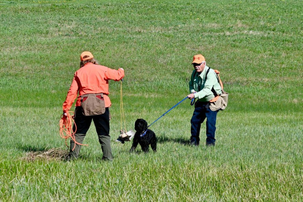 A black dog and 2 people standing in the grass