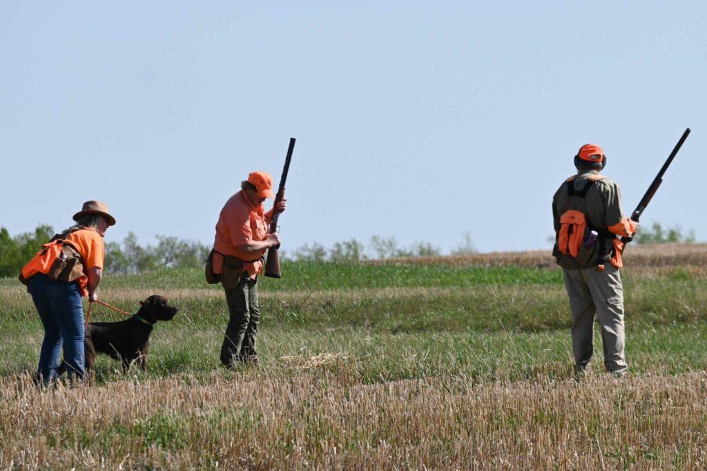 Group of people and a dog in the field