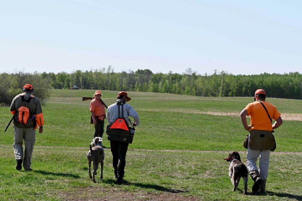 People and 2 dogs walking on the field