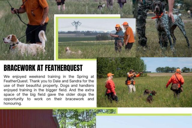 second page of prairie vista newsletter