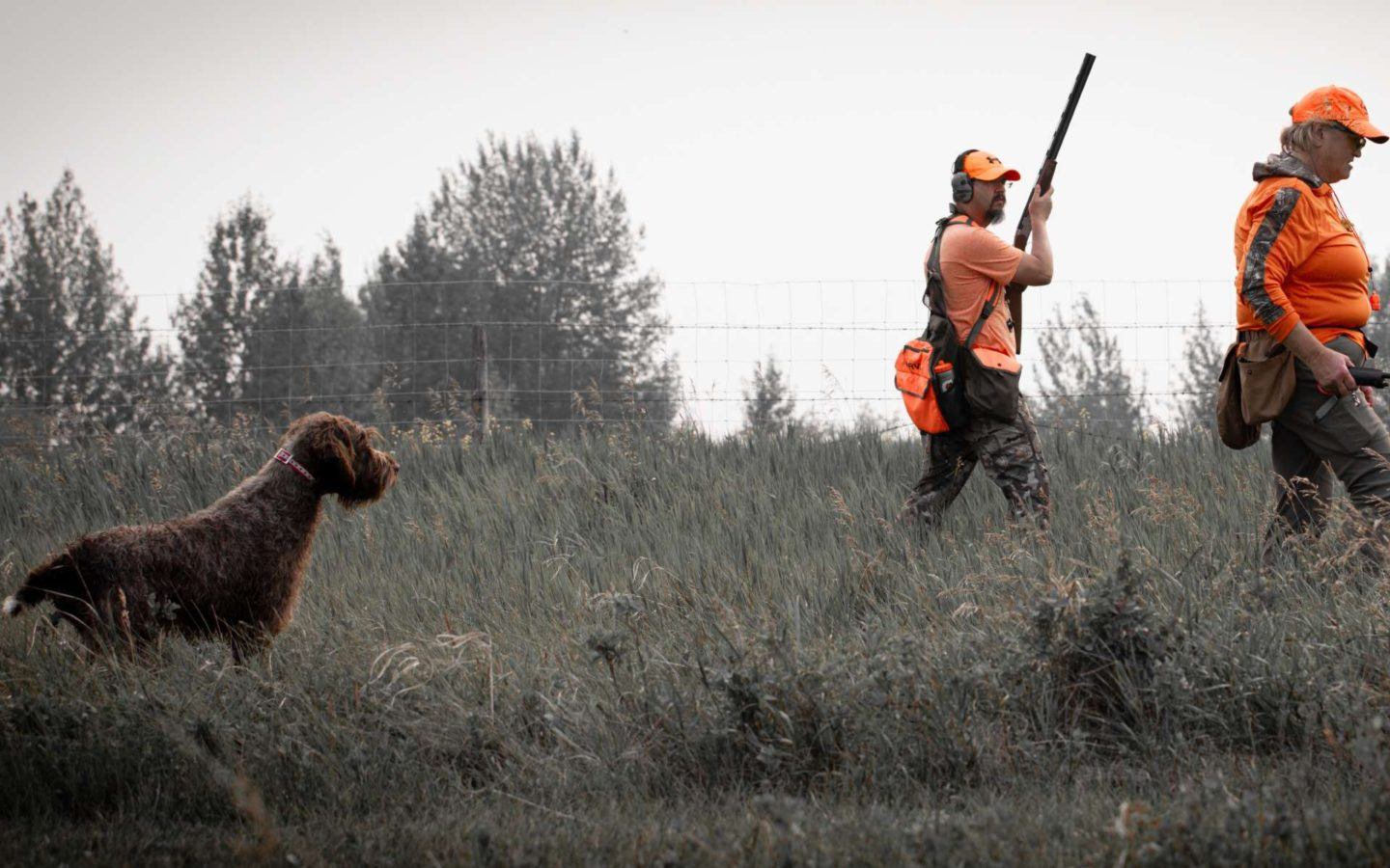 Versatile Hunting Dog Training Club | Prairie Vista NAVHDA