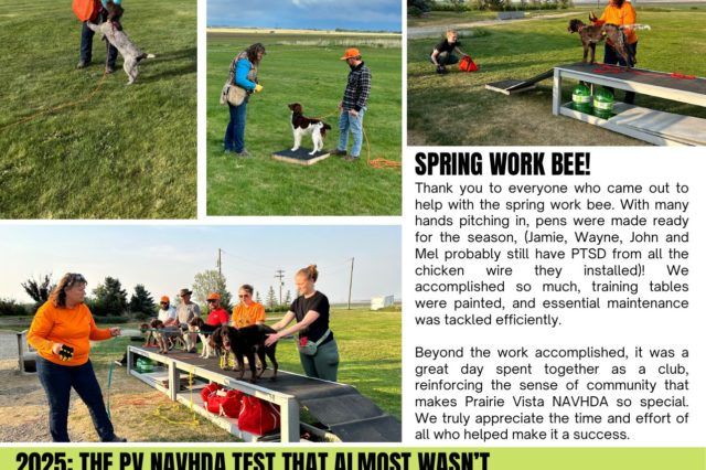 2025-season-wrap-up-page-2